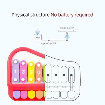2 in 1 Musical Xylophone and Mini Piano for Kids